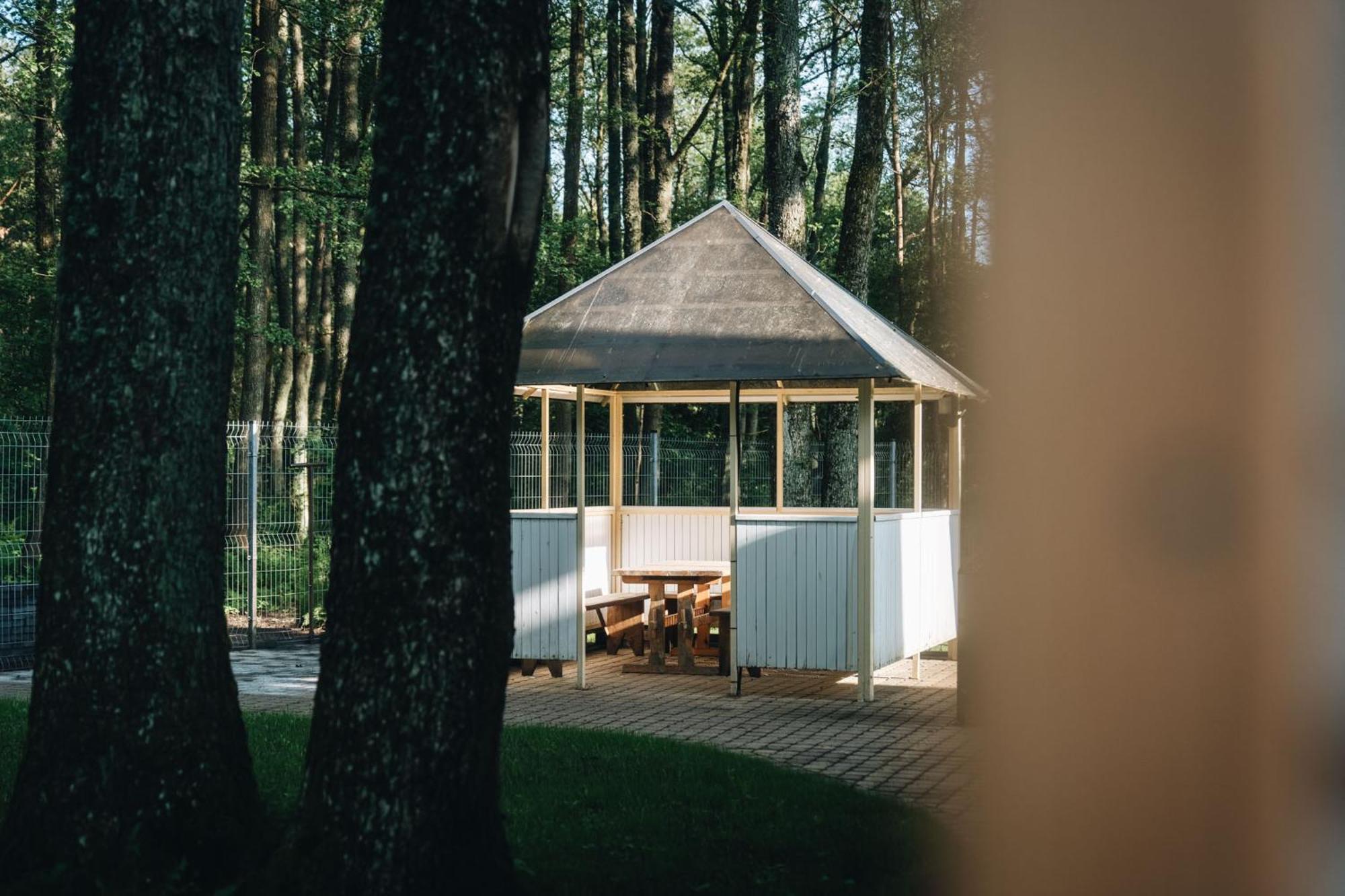 Nemirseta Forest Apartments Palanga Dış mekan fotoğraf