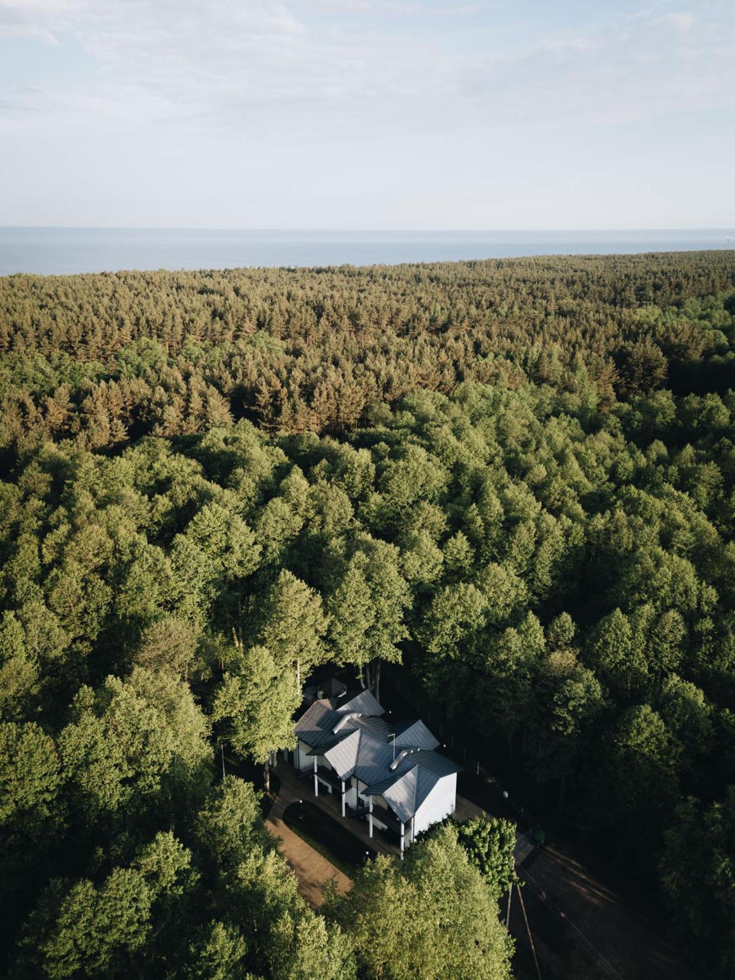 Nemirseta Forest Apartments Palanga Dış mekan fotoğraf